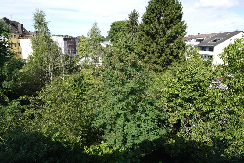 Ausblick vom Balkon