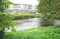 Wupper in der Nähe