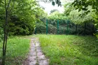 Garten, hinteres Grundstück