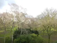 Aussicht vom Balkon