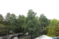 Ausblick vom Balkon