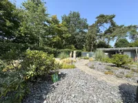 pflegeleichter Garten