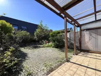 Blick in den sonnigen Garten