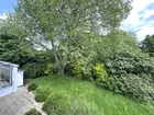 Blick in den Garten