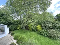 Blick in den Garten