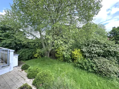 Blick in den Garten
