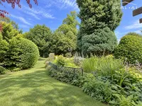 Blick in den Garten