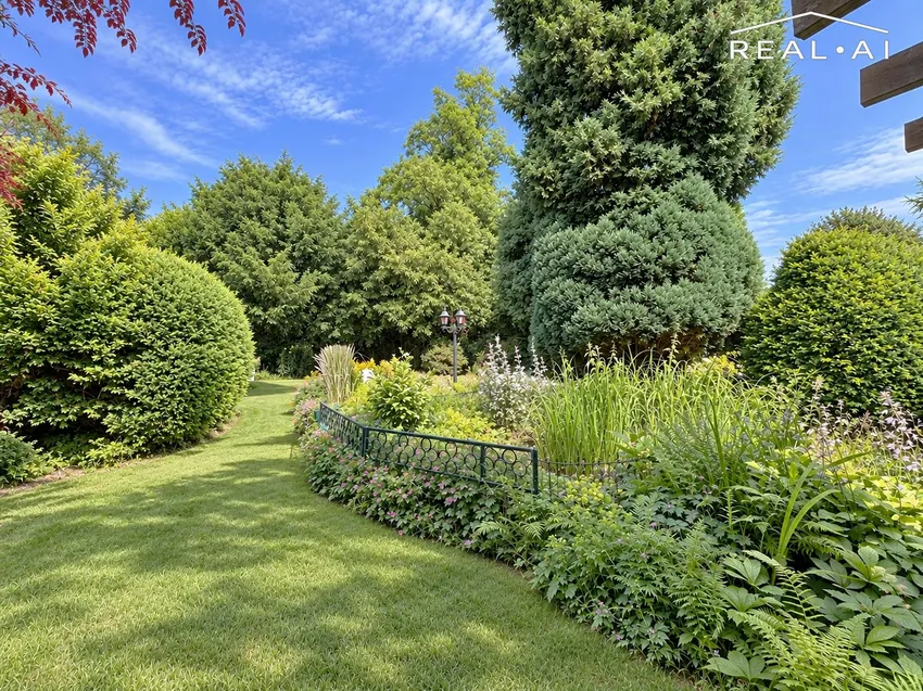 Blick in den Garten