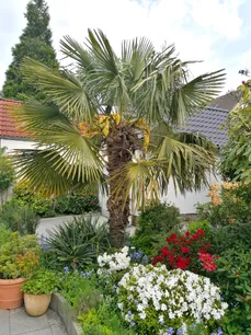 vielfältiger Pflanzenbestand...