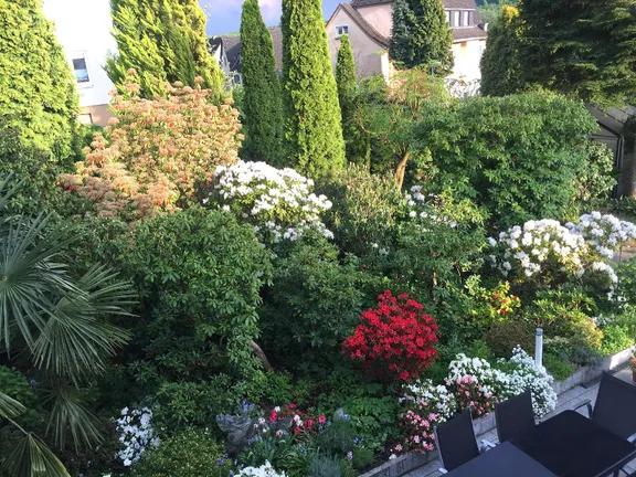 ...mit toller Farbenpracht