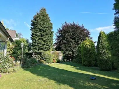 Blick in den Garten