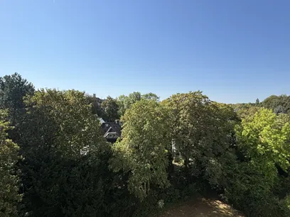 Ausblick