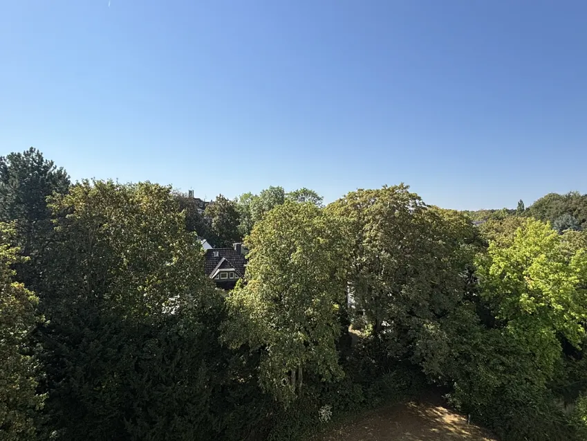 Ausblick