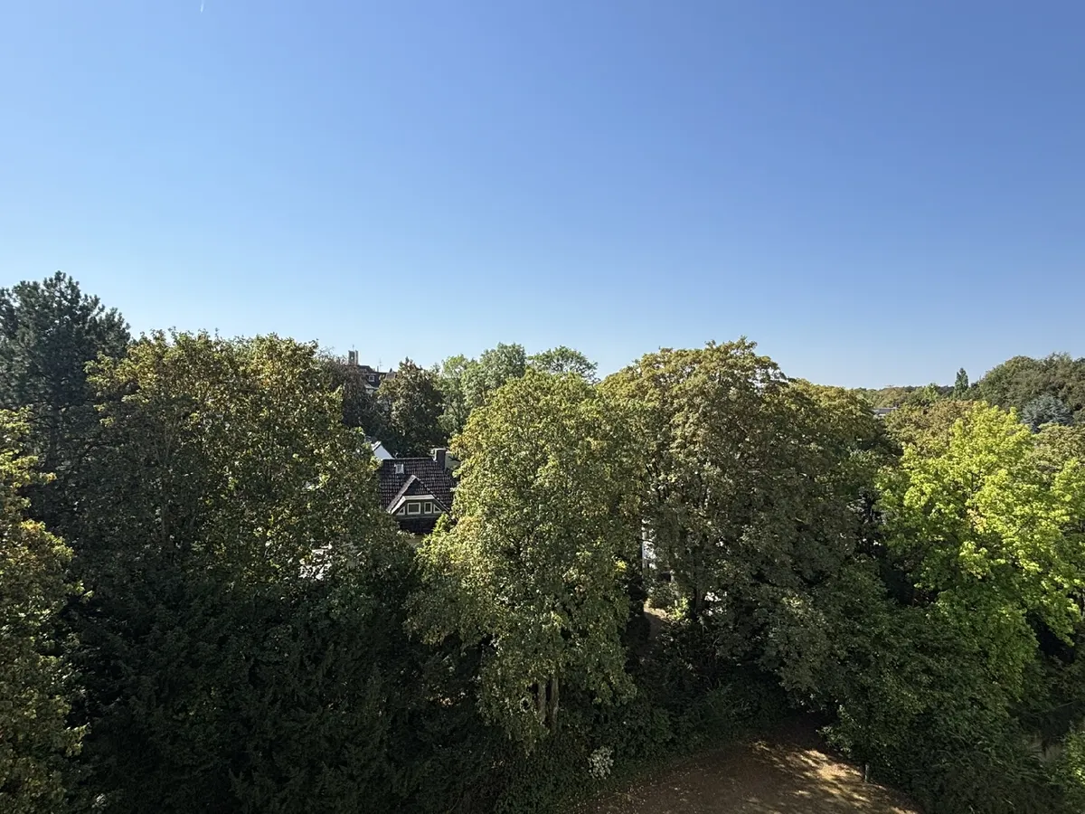 Ausblick