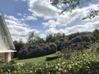 Blühender Garten