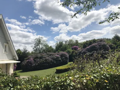 Blühender Garten