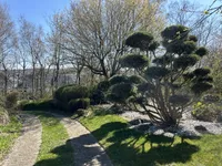 Zufahrt Garten