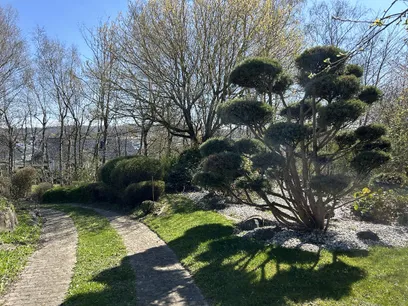 Zufahrt Garten
