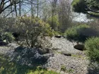 Gartenteich