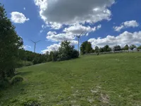 Pferdeweide