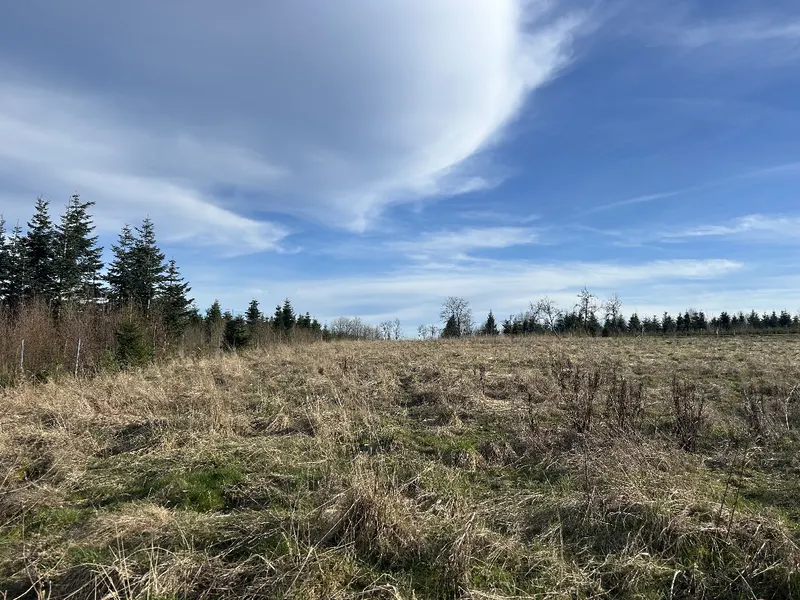 Unverbaubare Naturlage