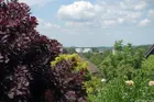Fernsicht