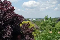 Fernsicht