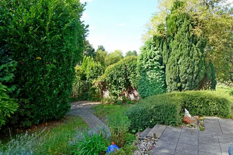 Hübscher Garten