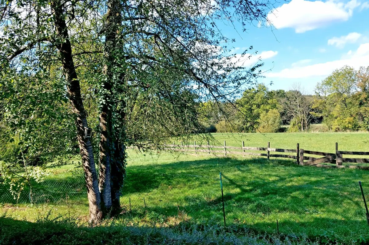 Natur pur!