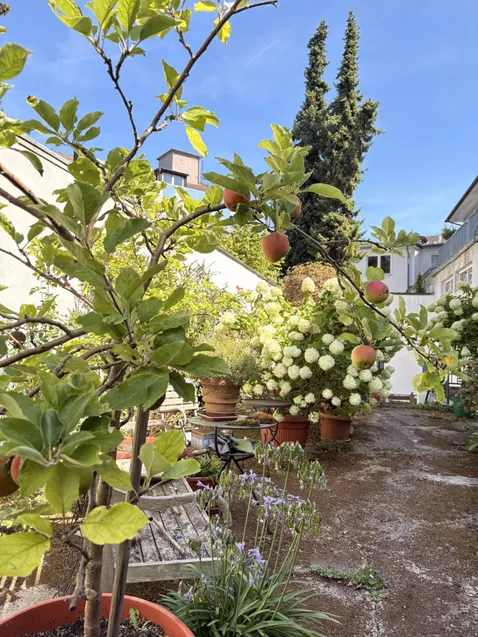 Gemeinschaftsgarten