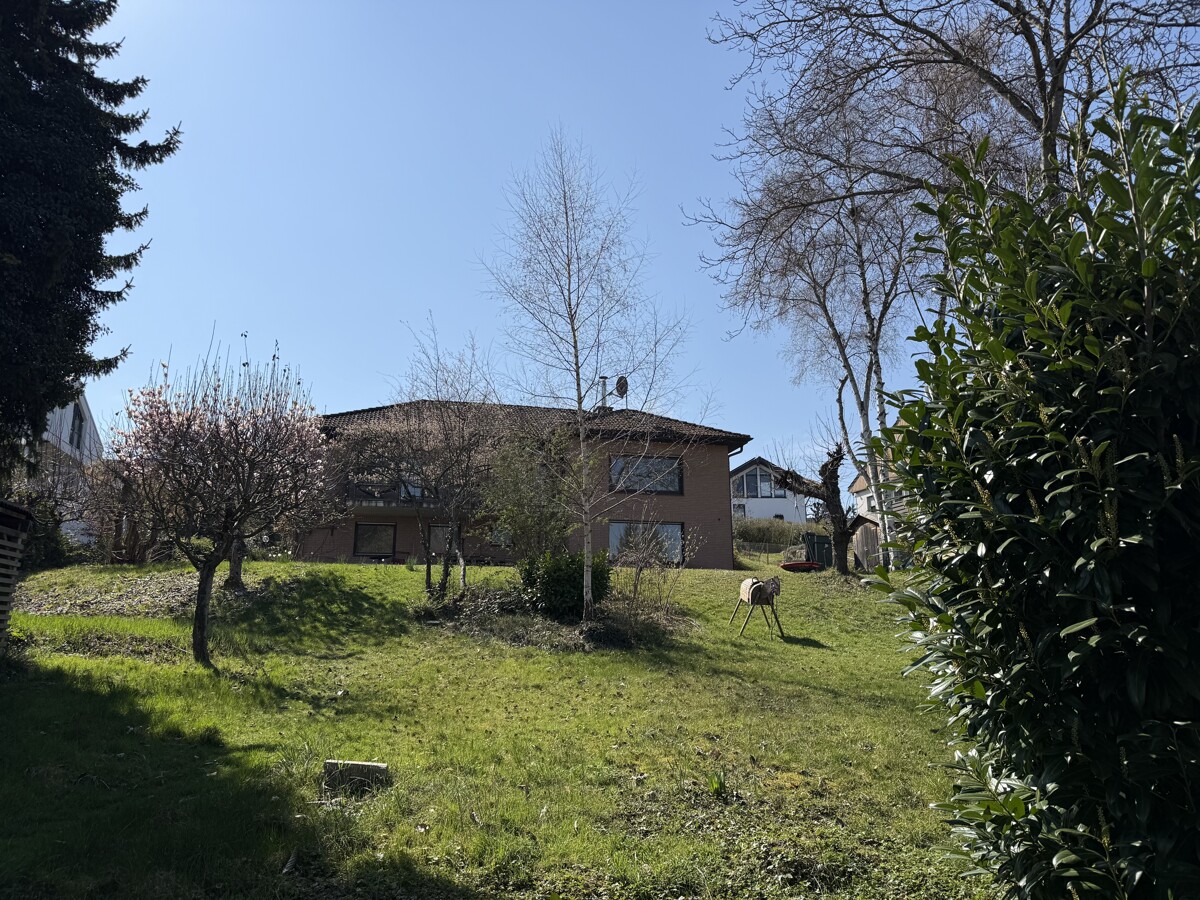 Sicht aus dem Garten