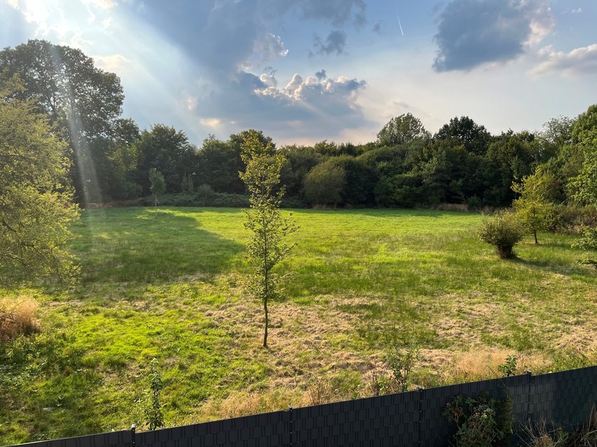 Blick ins Landschaftsschutzgebiet