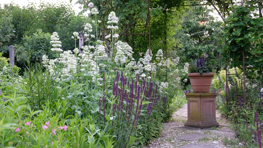 Baugrundstück: Staudenbeete