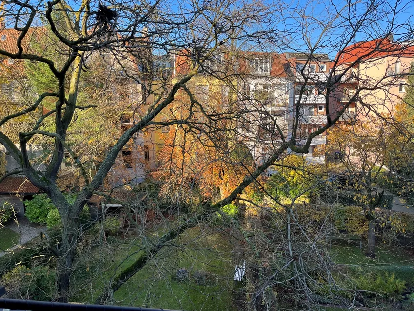 Der Blick