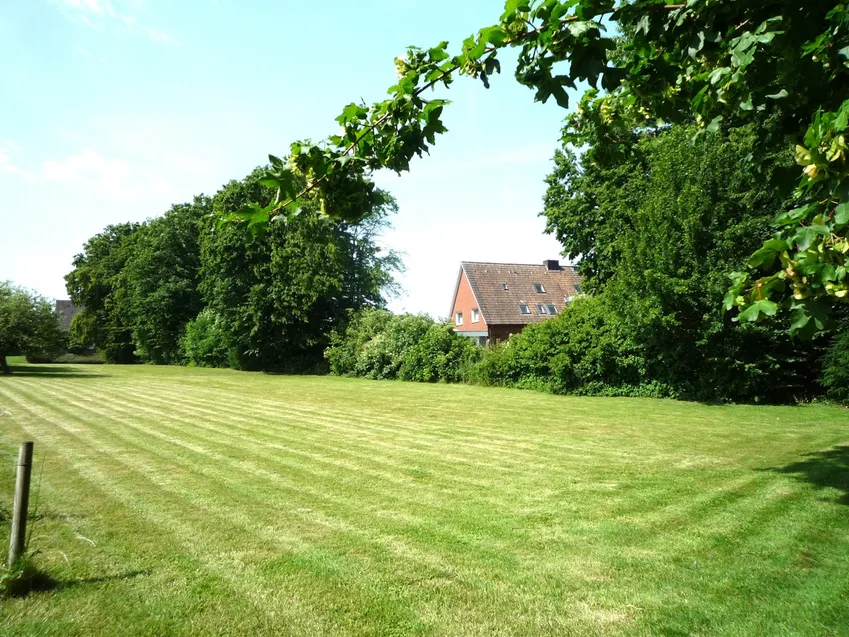 Wiese neben der Villa