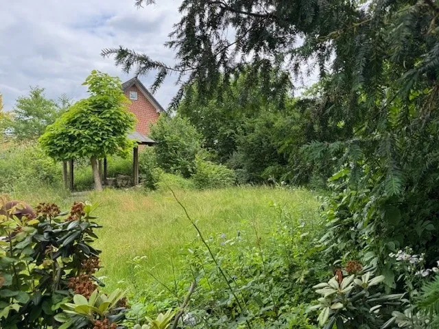 mit schönen Solitärpflanzen