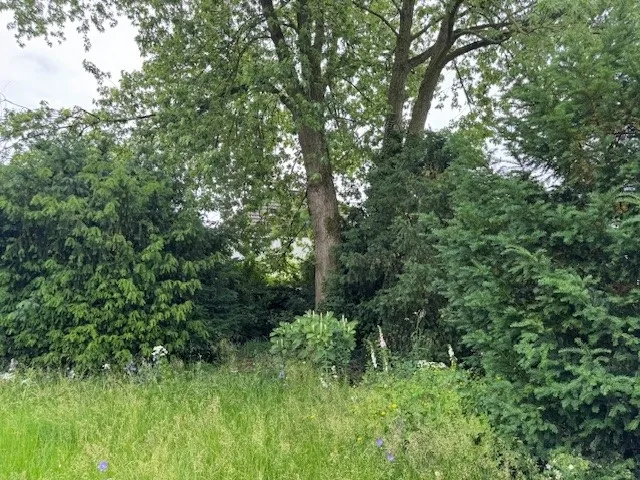 Eingewachsenes Grundstück zu den Nachbarn
