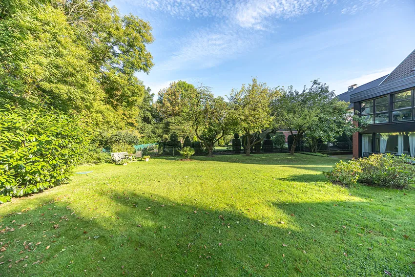 Blick in den Garten