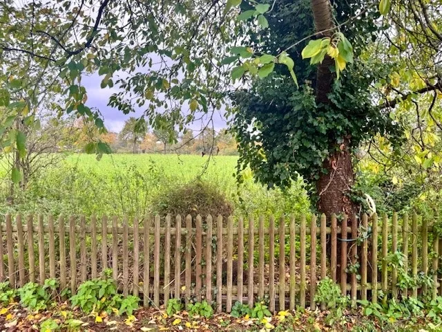 Der freie Blick aus dem Garten über weite Felder