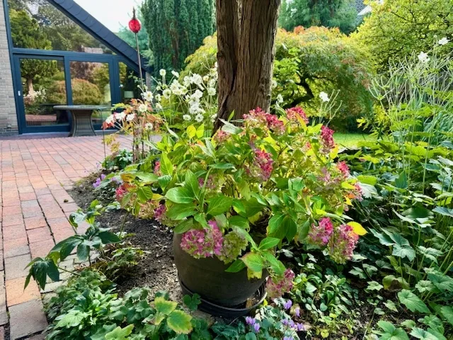 Die gepflegten Anlagen