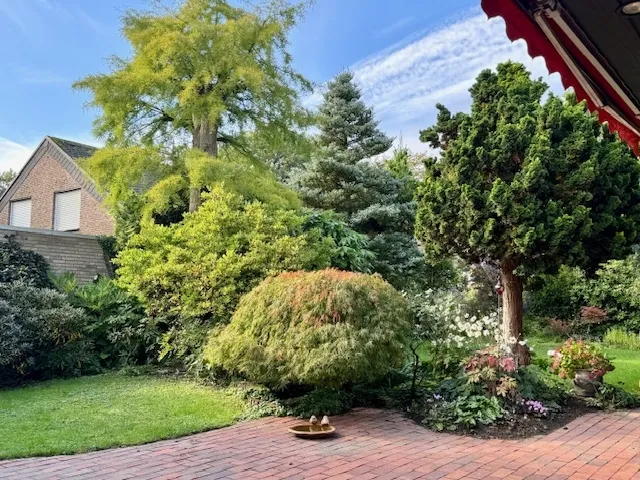 mit sehr schönen Solitärgewächsen