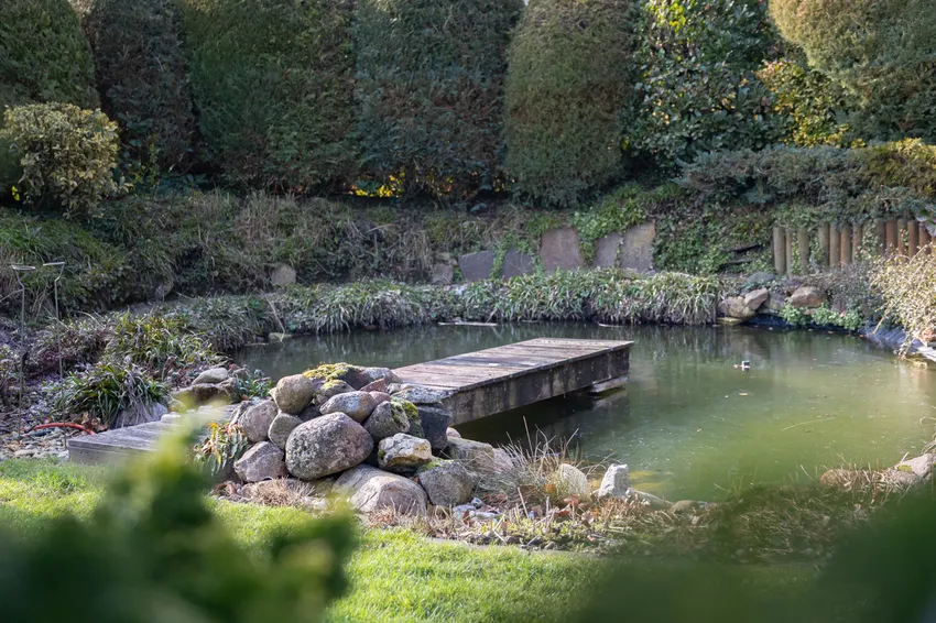 Gartenteich