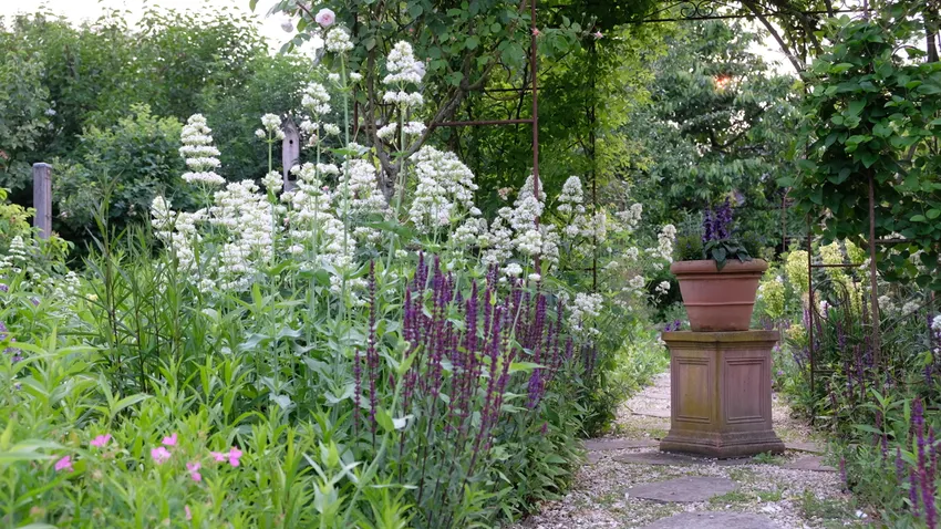 Impressionen im Sommer