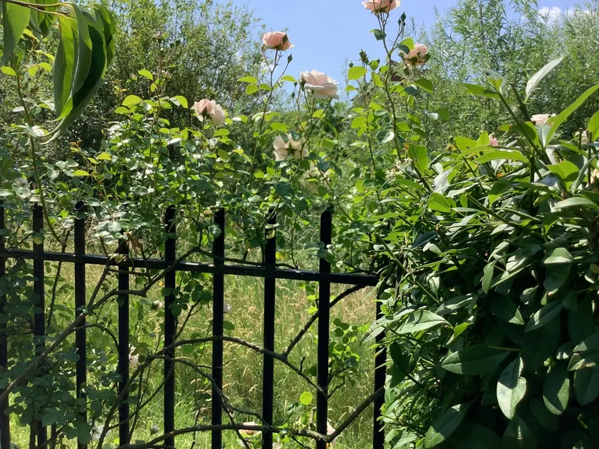 Der hochwertige Zaun als Gestaltungselement