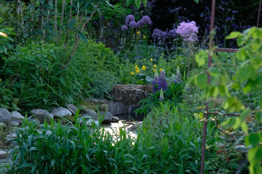 Wasserlauf im Frühling