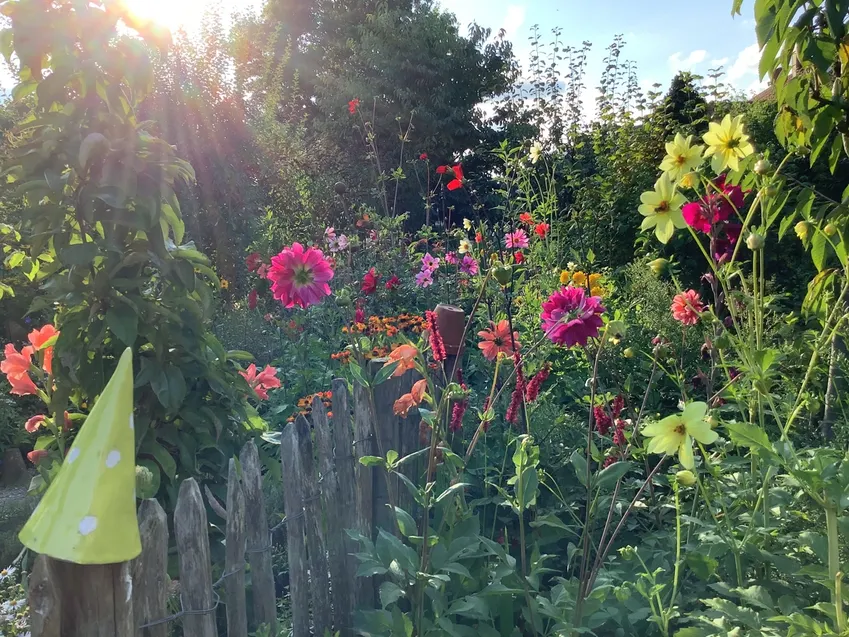 Farbenvielfalt im Spätsommer