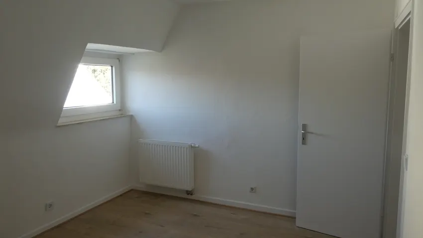Zimmer DG
