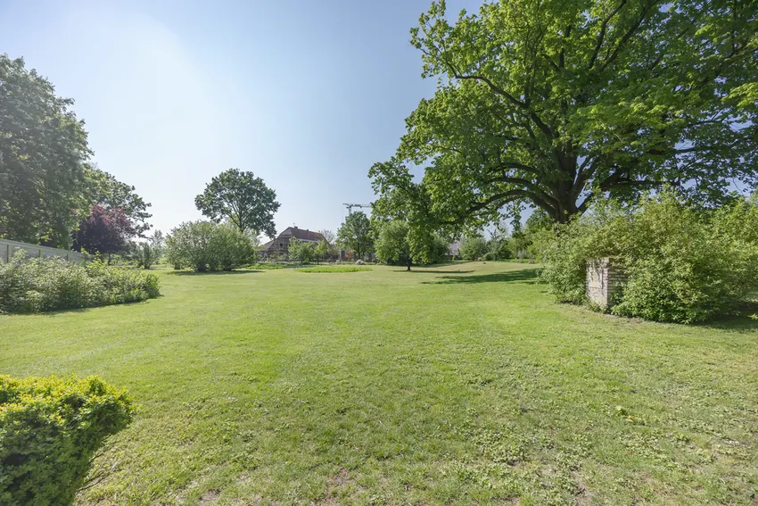 Parklandschaft + Weideflächen