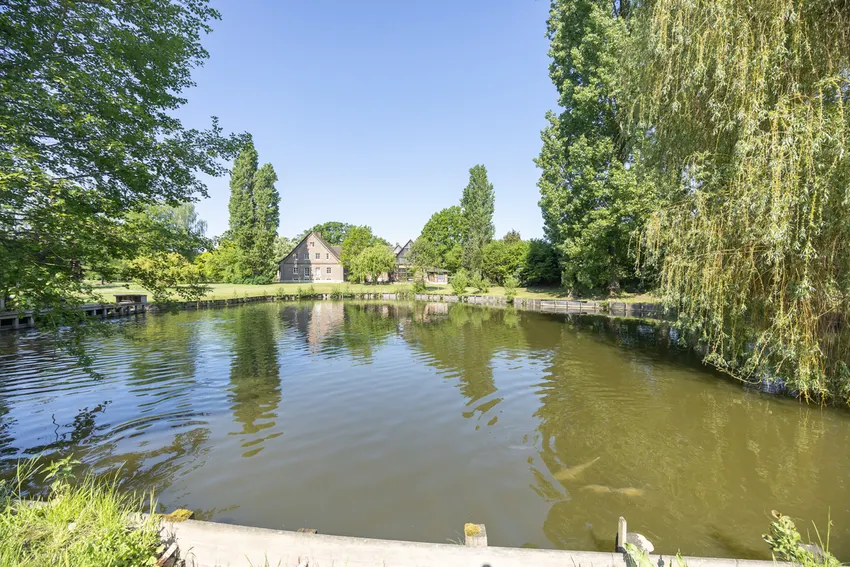 Teichanlage: Baden, Bootfahren, Fischen