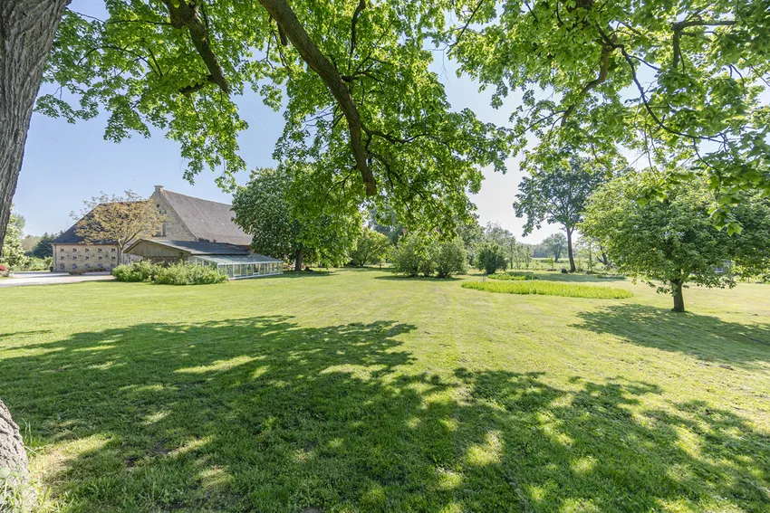 Parklandschaft mit altem Baumbestand +  Weideflächen